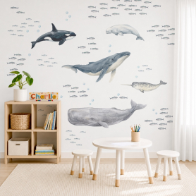 Whale Watch Wall Decal Pack Feature Wall